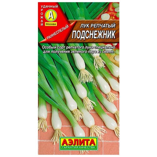 ������ ������ ������. ��� �������� 