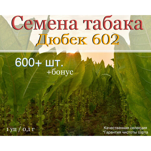 ������ ������ ������ ������ ����� 602 ����