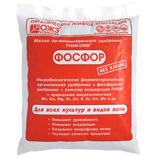 ������ ������ ��������� ���� ��� ������ 500�� ����