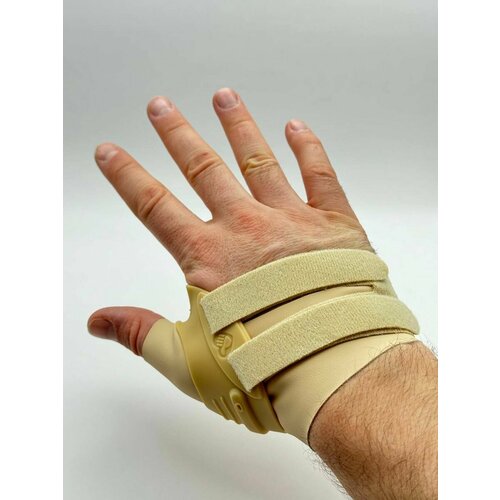 ������ ������ ����� �� ������� ����� ����, ������ ����