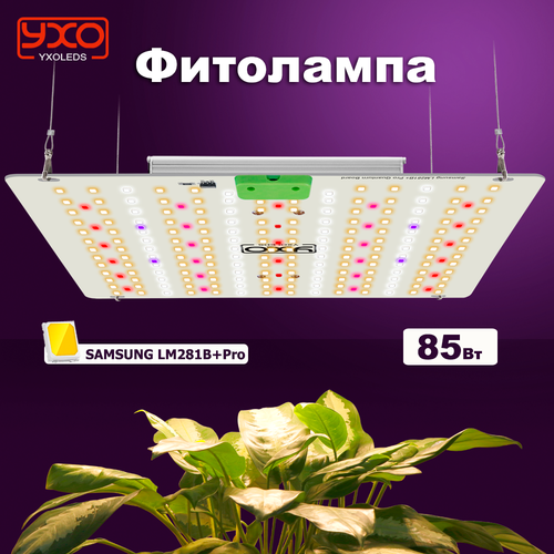 ������ ������ Quantum Board 85 ���� / Samsung LM281B+Pro / ��������� ��� �������� /������������ ������� ����