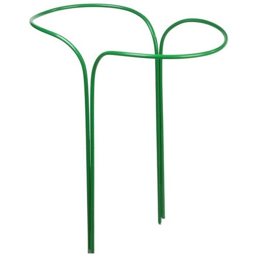 ������ ������ ������������� �����, �������������� ,