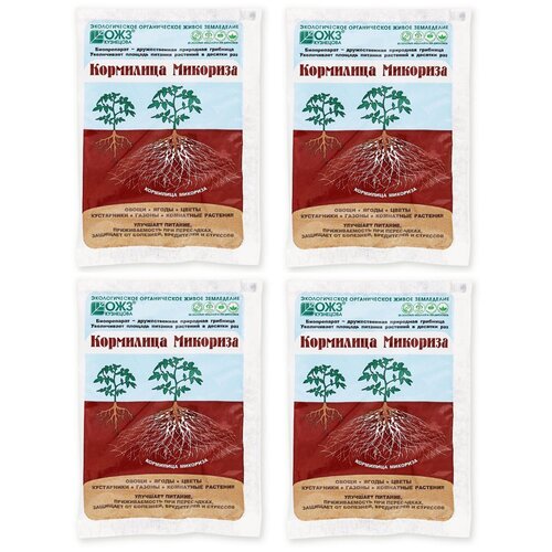 ������ ������ ��������� 