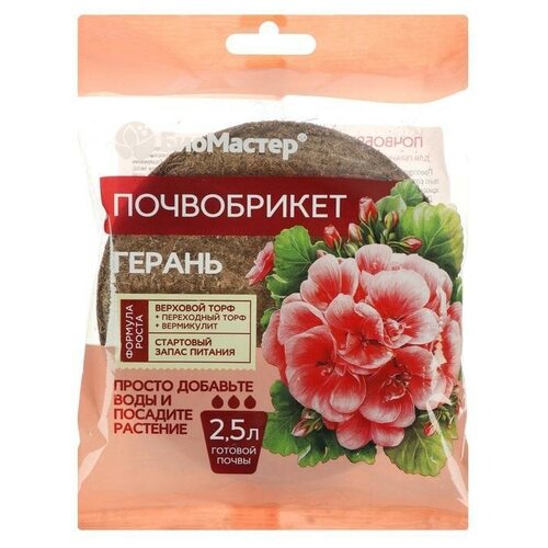 ������ ������ ����������� 