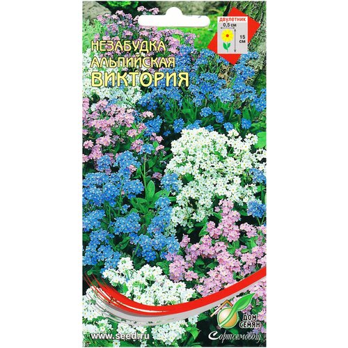 ������ ������ ��������� ����������� ���������� �����, 100 ����� ����