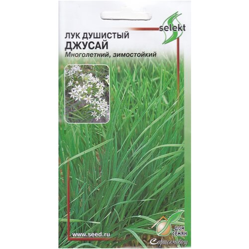 ������ ������ ��� �������� ������, 40 ����� ����