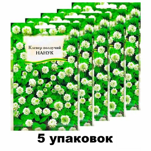 ������ ������ ������� 