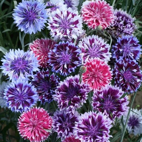 ������ ������ ������ ������ ������ ����, ����� 1 ����� ����� ������� ������ ����