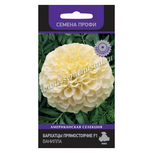 ������ ������ �������� ������ �������. 10��. (�����) ����