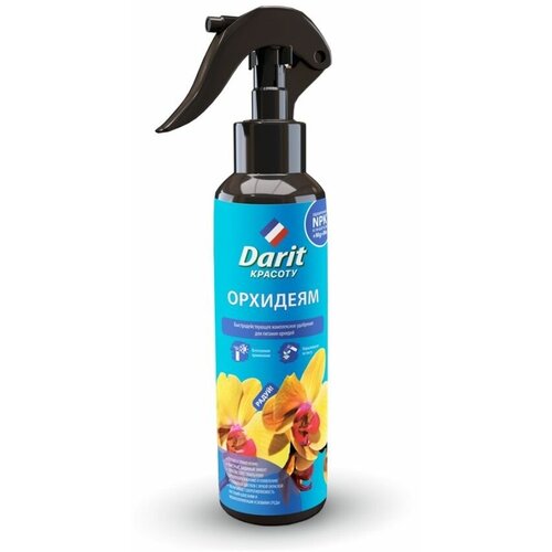 ������ ������ ��������� ����� ��� ������� 250�� ����� ����