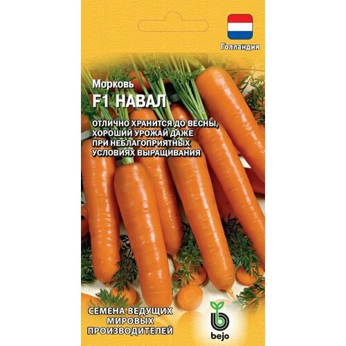 ������ ������ ������ ������� ����� F1, 150��, ������, ������� ������� �������������, Bejo ����