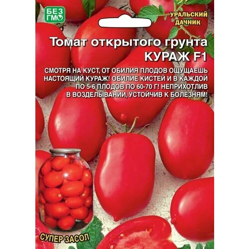 ������ ������ ����� ����� F1, 20 �������, ��������� ������ ����