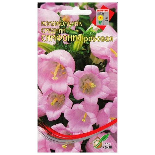 ������ ������ ����������� ����������� ��������, �������, 180 ����� ����