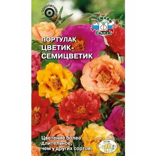 ������ ������ �������� 