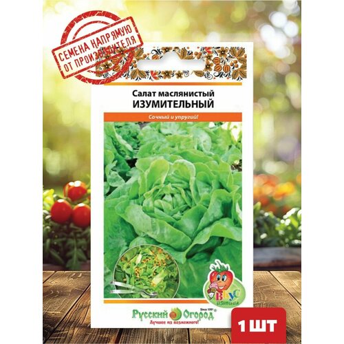 ������ ������ ������ ����� �������� ����������� ������������ 200 ��. ����