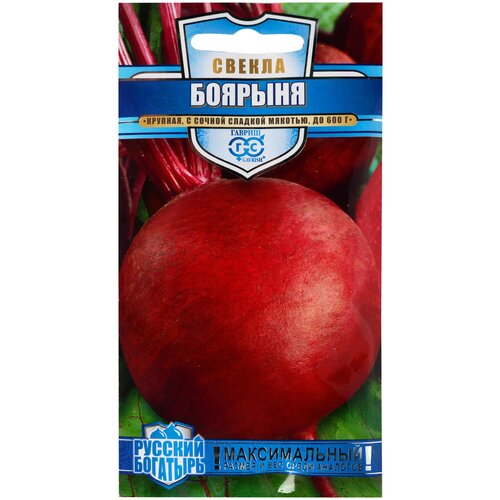 ������ ������ ������ ������ ������� �������� ������ ������� 2 � ����