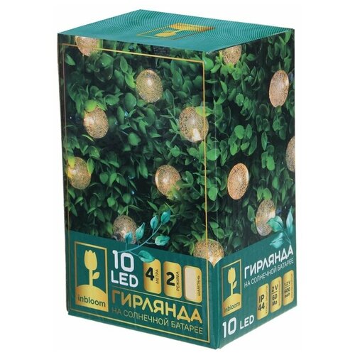 ������ ������ INBLOOM �������� �� ����. �������, 10LED, 2�, �������, 2 ���, ���, ��� ���, 2V60mA, 1.2V600mAh ����