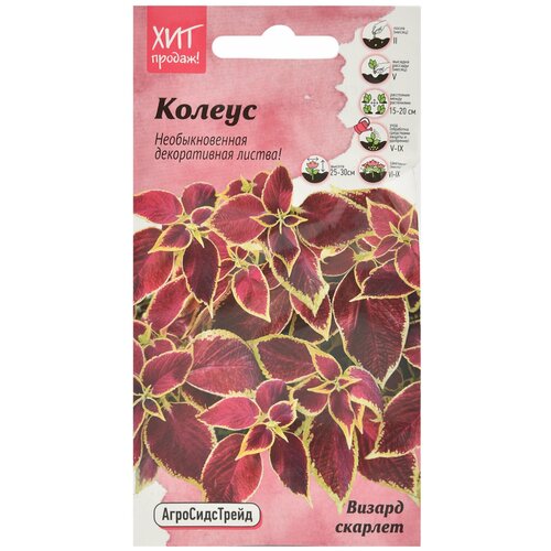 ������ ������ ������ ������ ������� 10 �� ��� / ������ ������ ����������� ��� ���� � ������� � ����� / ������������� ����