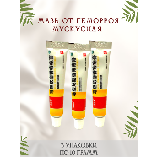 ������ ������ ��������� ��������� ���� �� �������� � ������ 3 �������� ����