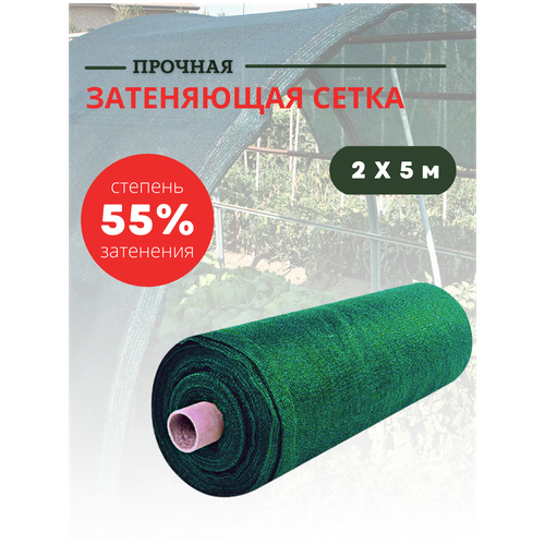 ������ ������ ����������� ��� ����� ���������� 55 % �������� 2�5 � ����