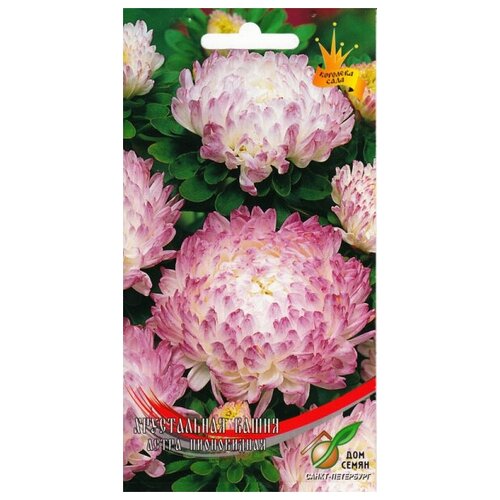 ������ ������ ����� ����������� ����������� �����, 80 ����� ����