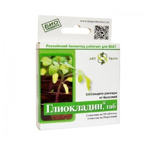 ������ ������ ���������� 100 ����, 1 �������� ����