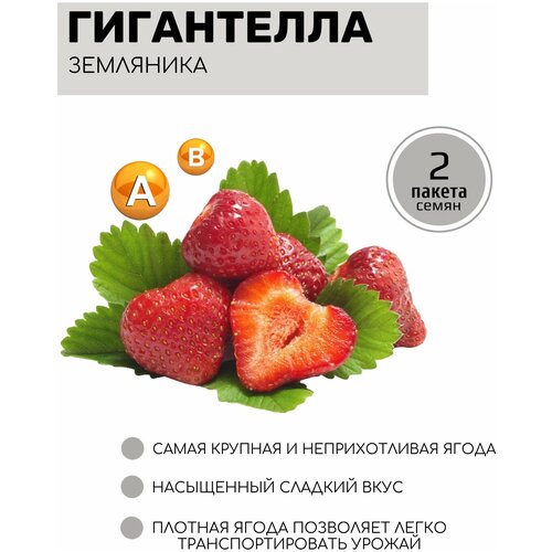 ������ ������ ��������� (��������) ���������� 2 ������ �� 10�� ����� ����