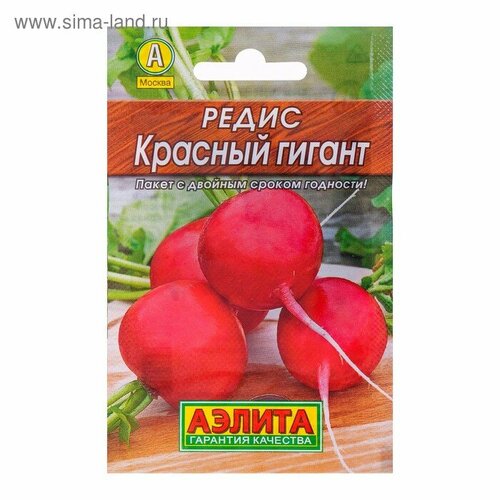 ������ ������ ������ ����� ������� ������ 3� (������) ����