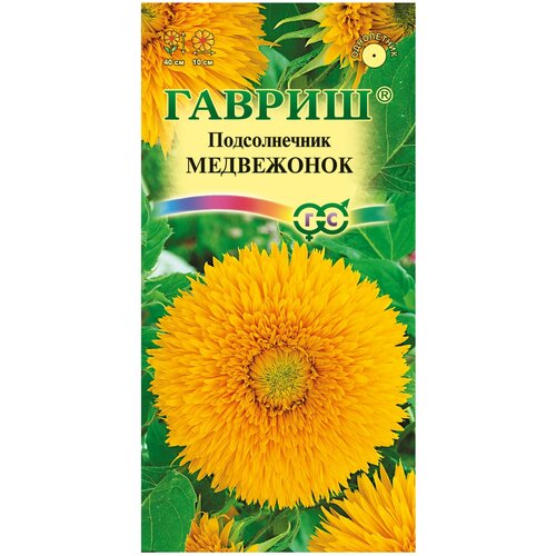 ������ ������ ������ ������������ ������������ ���������� ����