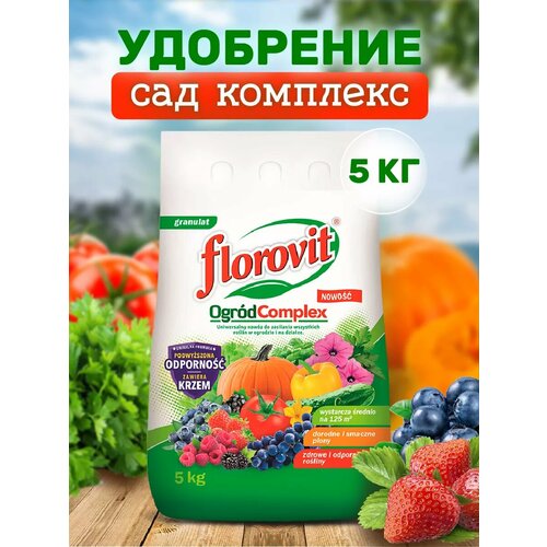 ������ ������ ��������� ������������� ��������������� ��� �������� 5 �� ����