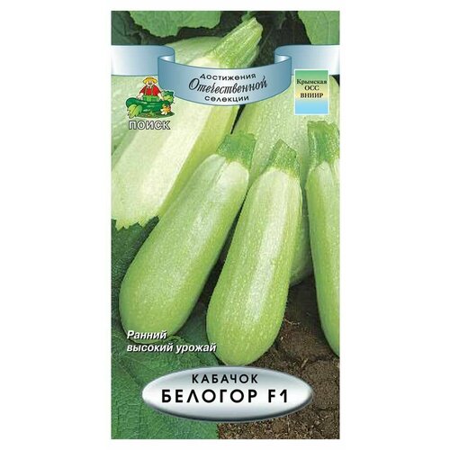 ������ ������ ������ ������� ������� 12 �� �� ����� ����