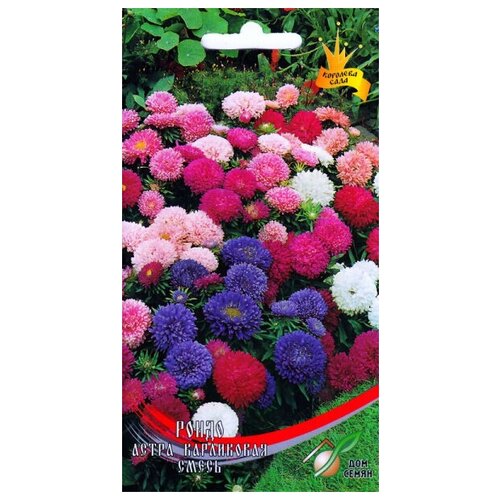 ������ ������ ����� ������ ����� �����, 100 ����� ����