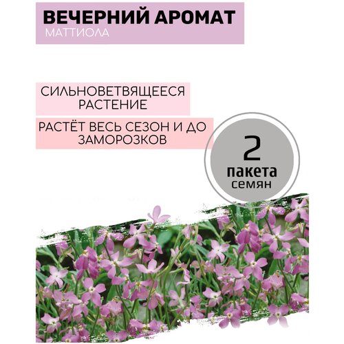 ������ ������ �������� �������� ������ 2 ������ �� 0,6� ����� ����