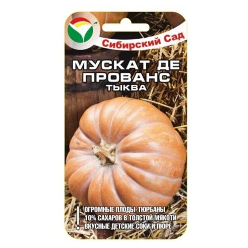 ������ ������ ������ �� ������� F1 5�� ����� (��� ���) ����