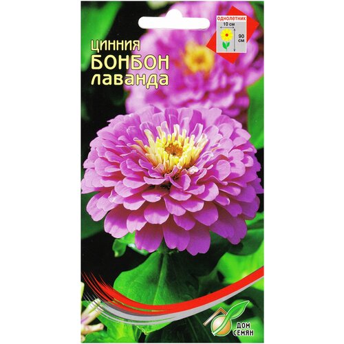 ������ ������ ������ ������ �������, 24 ����� ����