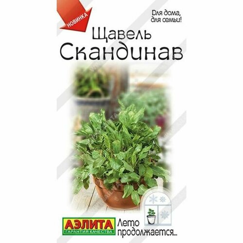 ������ ������ ������ ������ ��������� (������) 0,5� ���� ������������ ����