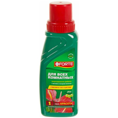 ������ ������ ��������� Bona Forte 0.285 � ��� ���� ���������, ������ ����