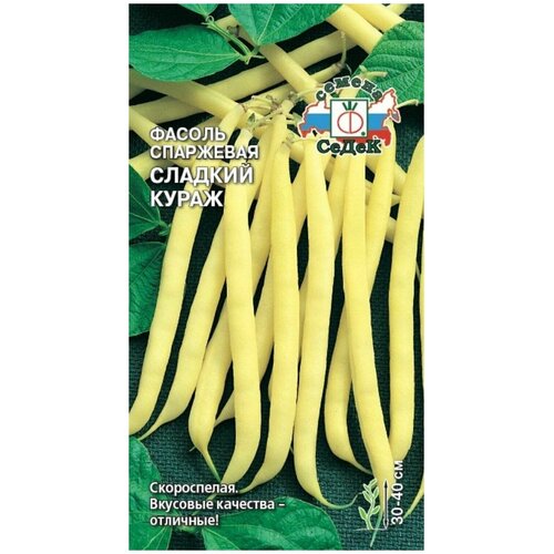 ������ ������ ������ ��������� ������� �����, 5 � ����