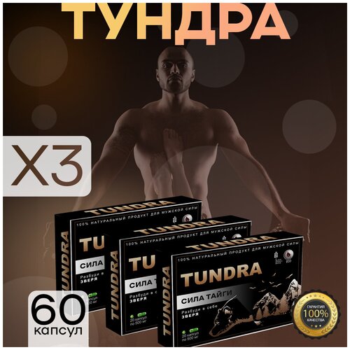 ������ ������ ������ ������� ����������� ������, 20 ������, 3�� ����