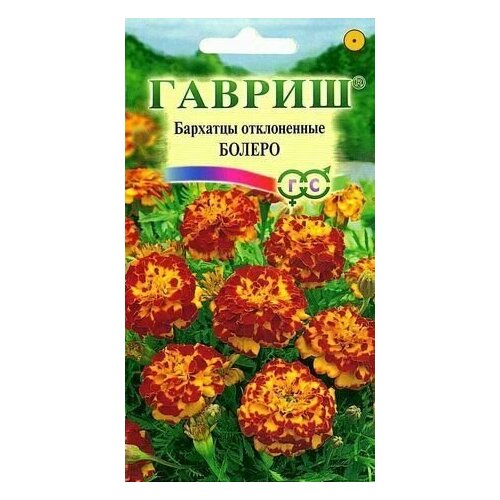 ������ ������ ������ �������� ����������� (�������) ������, 0,3�, ������ ����