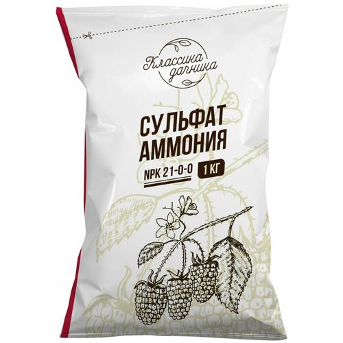 ������ ������ ������� �������. 1 �� ����