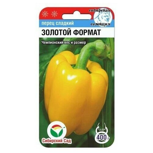 ������ ������ ������� ������ 15�� ����� (��� ���) ����