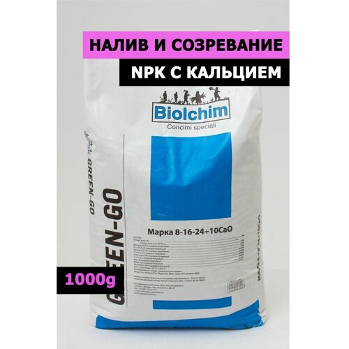 ������ ������ ��������� ������ 8-16-24, 1�� ����