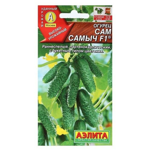 ������ ������ ������ ������ 