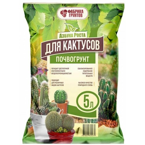 ������ ������ ���������� ������ ����� ��� ������� 5�. ����