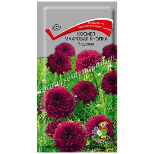 ������ ������ ������ ������ �������� ������ �������� 0,1�� ����