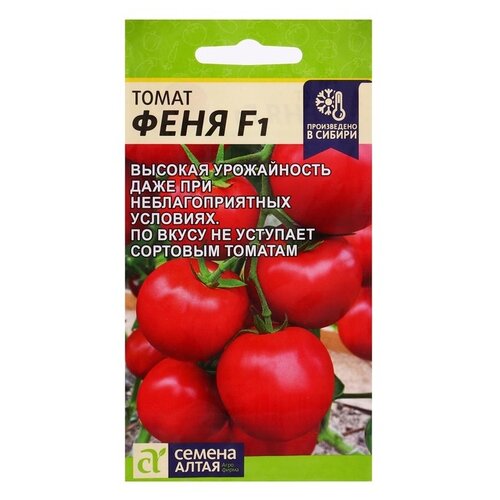 ������ ������ ������ ������ ����� ����� ���� F1, 10 ��. ����