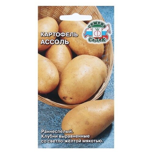 ������ ������ ������ ��������� ������* ����