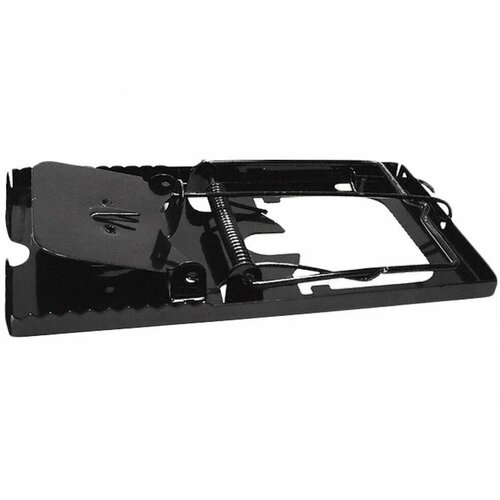 ������ ������ ��������� 