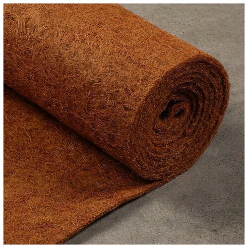 ������ ������ ���������� ��������� ������� ��� �������������, 3 ? 0,5 �, ����������� ����